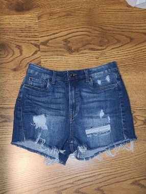 True Craft High-Rise Distressed Denim Shorts - Blue
